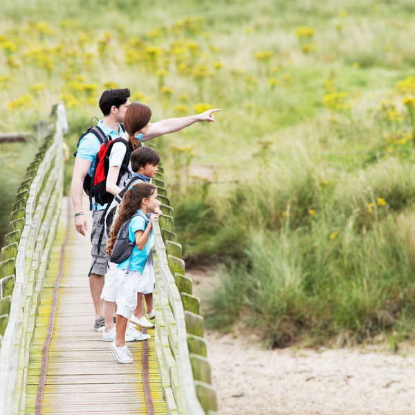 A family stopping on a wooden bridge to point at something in the distance.