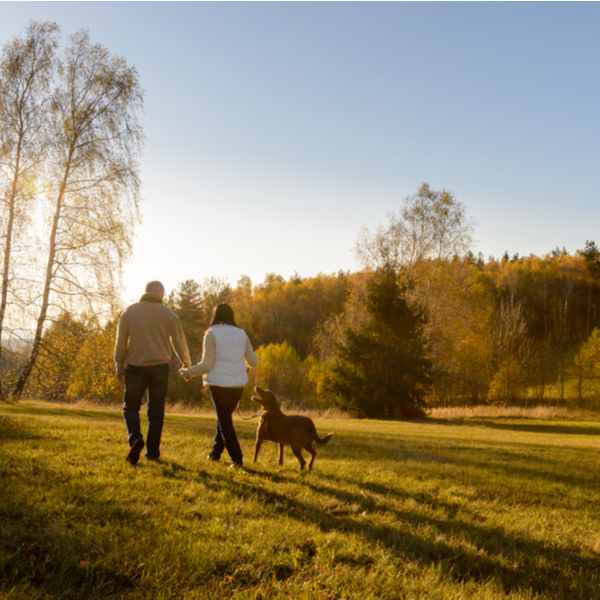 A couple walking their dog in a park.