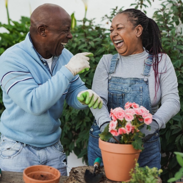 A couple laughing together while gardening.