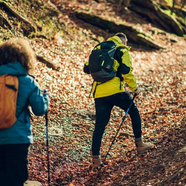 A couple hiking through a forest in autumn.