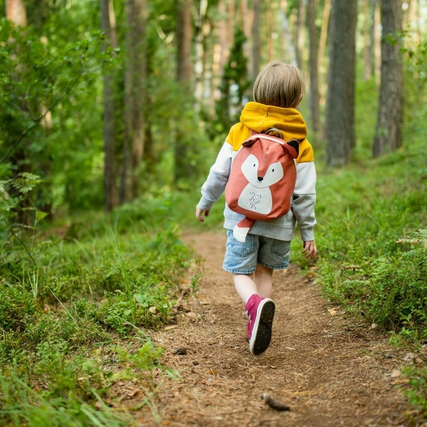 A child following a path through a wood.