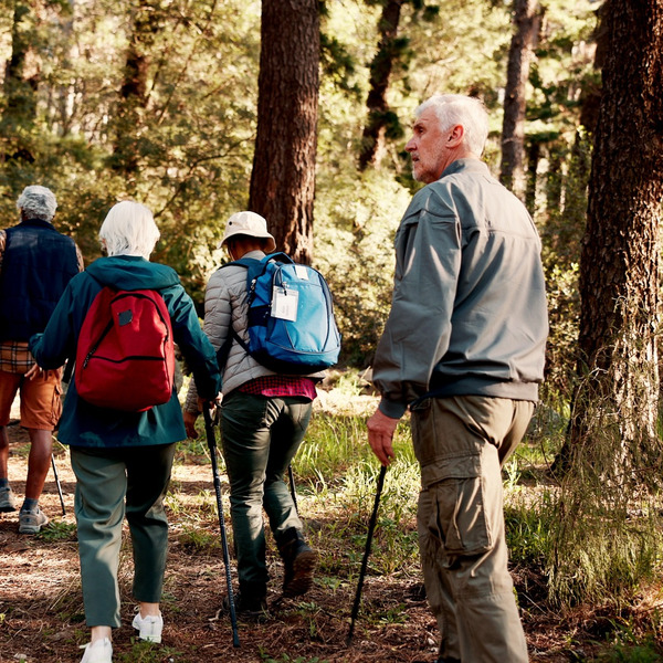 Group of older adults hiking in the forest